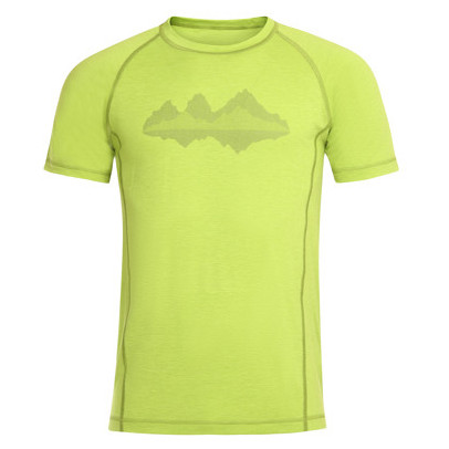 Muška majica Alpine Pro Revin zelena