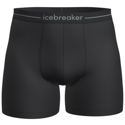 Muške bokserice Icebreaker Mens Anatomica Boxers