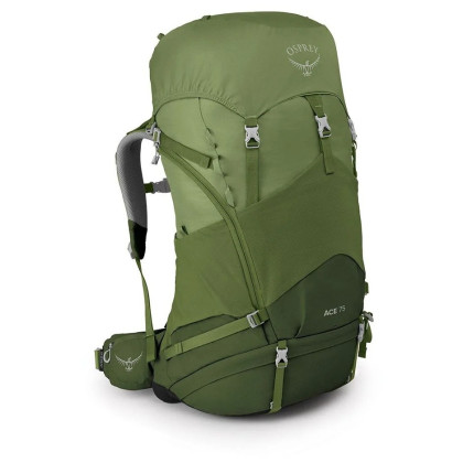 Dječji ruksak  Osprey Ace 75 zelena venture green