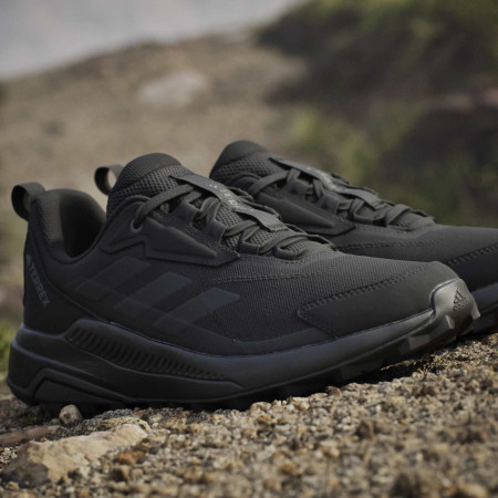 Ženske cipele Adidas Terrex Anylander W