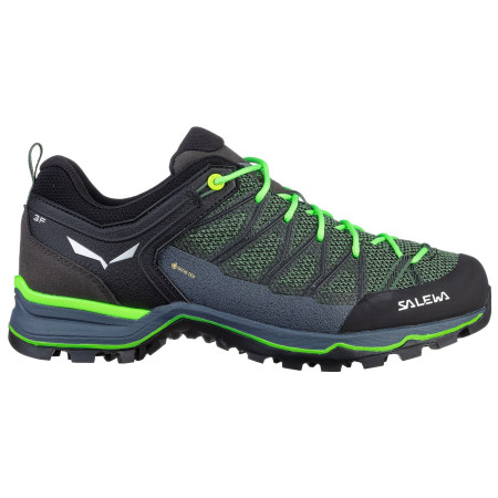 Muške cipele Salewa Ms Mtn Trainer Lite Gtx