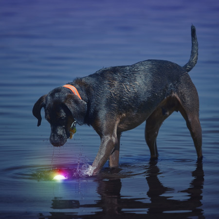 Igračka za psa Nite Ize Glowstreak LED Ball