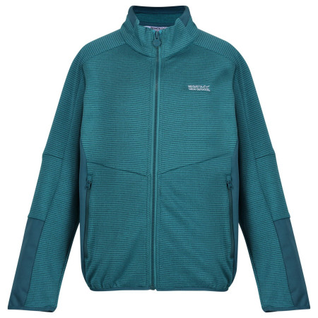 Dječja dukserica Regatta Highton WtrFZ III