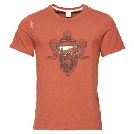 Muška majica Chillaz Rock Hero Winter smeđa brick