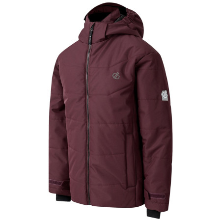 Dječja zimska jakna Dare 2b Explorer Jacket