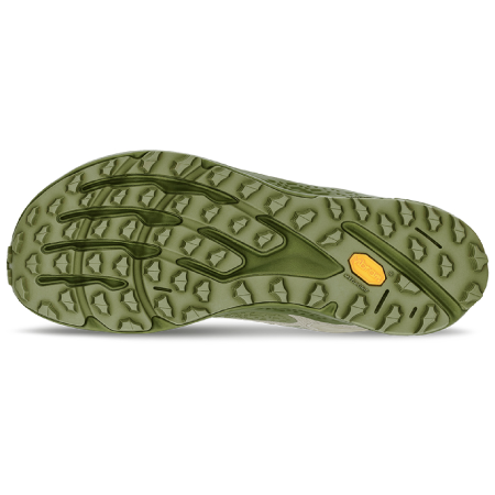 Muške tenisice za trčanje Altra Timp 6 GTX