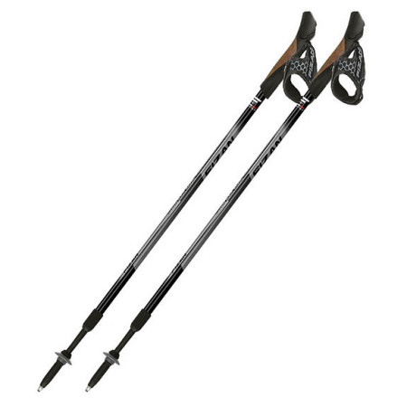 Štapovi Fizan NW Speed