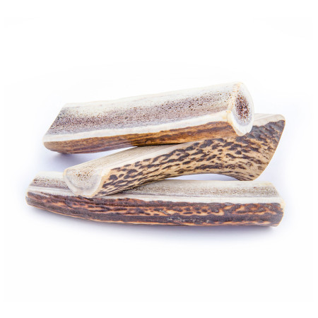 Igračka za psa Explorer Dog Antler Chew easy