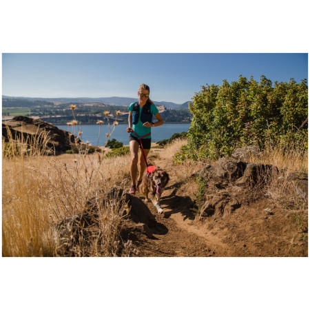 Ogrlica za psa Ruffwear Switchbak™ Harness