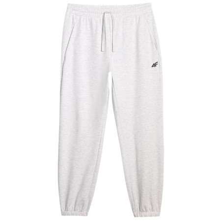 Muške hlače 4F Trousers Cas M1139