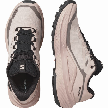 Ženske tenisice za trčanje Salomon Genesis 2 Gtx W
