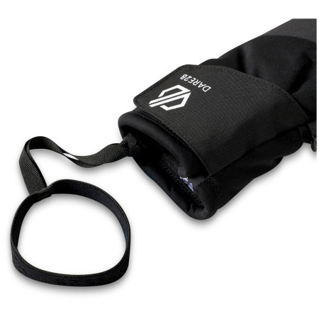 Rukavice za skijanje Dare 2b Indicator Index Glove