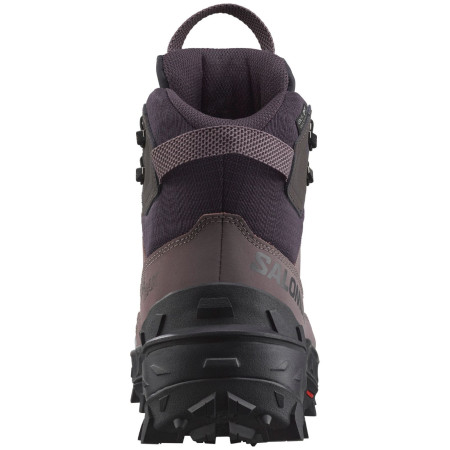 Ženske zimske cipele Salomon Crosstrak Powder Wp W