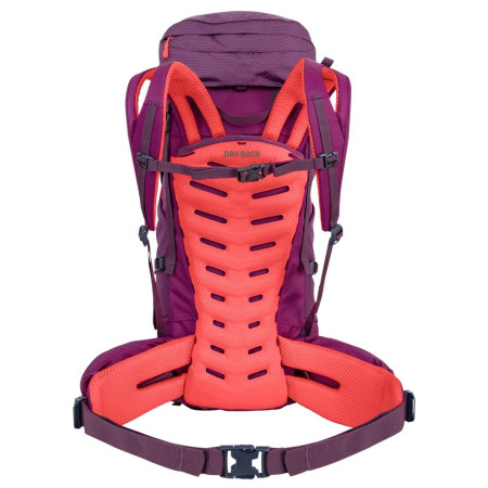 Ženski ruksak Salewa Alptrek 38 +5 Bp Ws