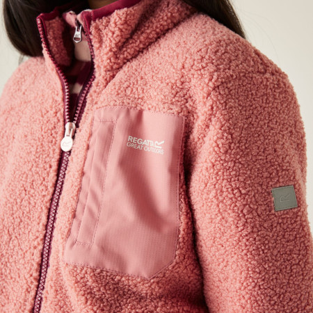 Dječja dukserica Regatta Junior Frankie Warm Fleece