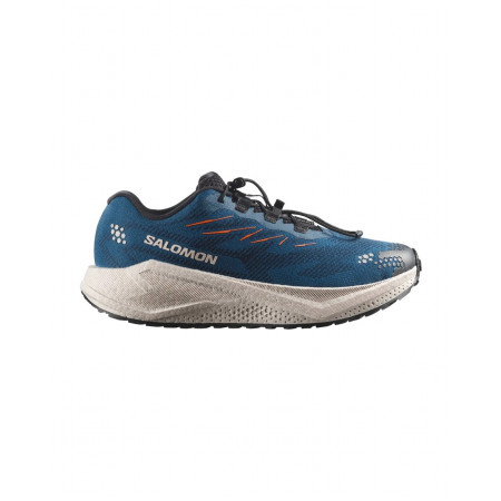 Muške cipele Salomon Aero Blaze 4 Grvl