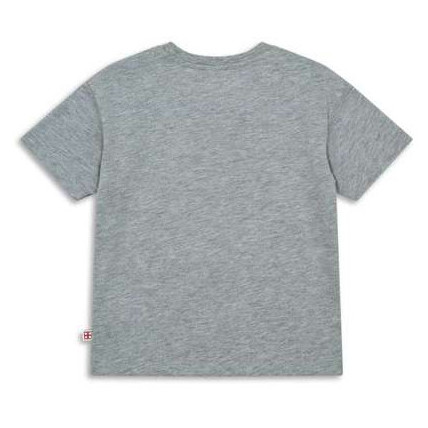 Dječja majica Lego Wear Lwtaj 217 Grey