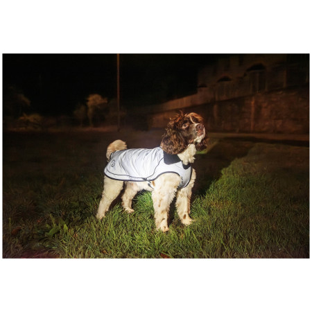 Kabanica za psa Mountain Paws Reflective Fleece-Lined Dog Raincoat