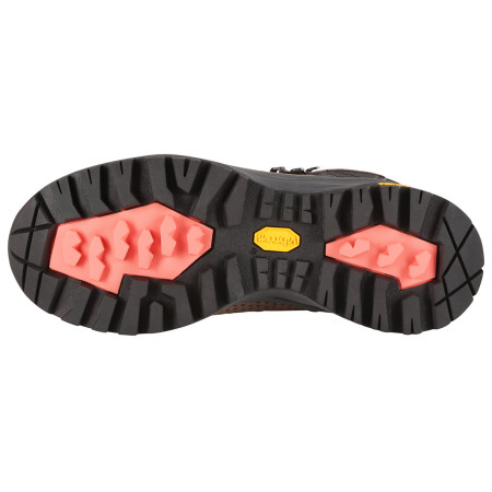 Ženske planinarske cipele Alpine Pro Erahe