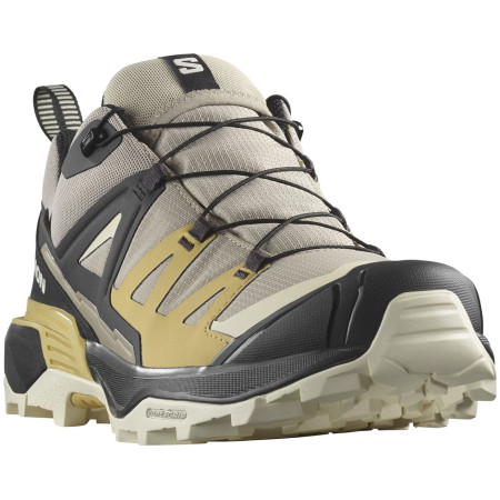 Muške cipele za planinarenje Salomon X Ultra 360 GTX
