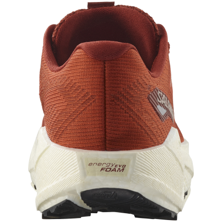 Ženske tenisice za trčanje Salomon Aero Blaze 3 Grvl