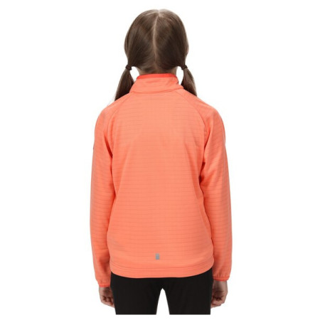 Dječja dukserica Regatta Jnr Highton LteII