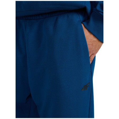 Muške hlače 4F Trousers Cas M1139