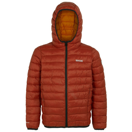 Dječja zimska jakna Regatta Junior Hooded Marizion Rooibos Tea narančasta Rooibos Tea(Black)