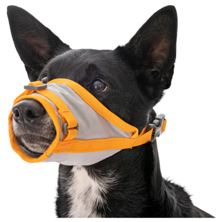 Orma za psa Ruffwear BackTrak™ Dog Evacuation Kit