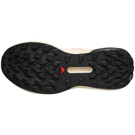 Ženske cipele Salomon Genesis