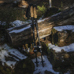 Kako odabrati štapove za trekking?