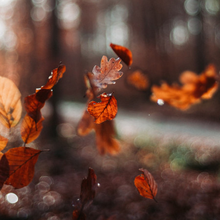  Jesensko sniženje - odjeća snižena do 80%