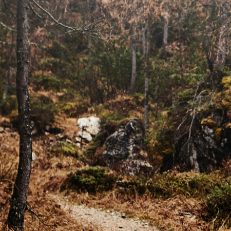 Što je to bivakovanje?