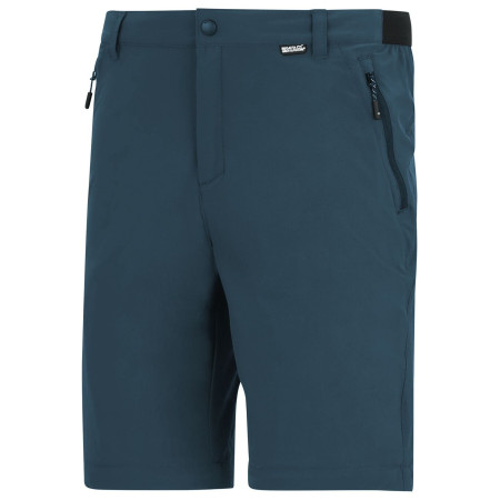 Muške hlače Regatta Anti-Insect Travel Light Z/O Trousers