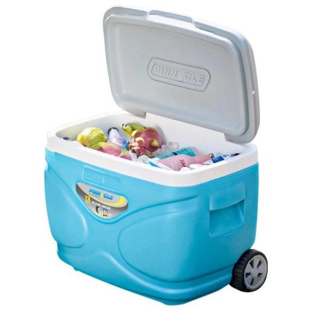 Prijenosni hladnjaci Pinnacle Prudence 30L