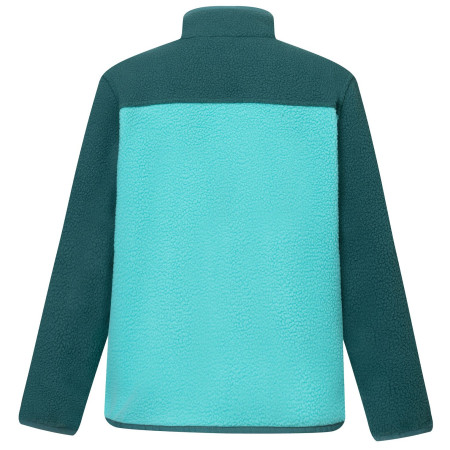 Dječja funkcionalna dukserica Regatta Junior Frankie Warm Fleece Mediterranea/Turquoise