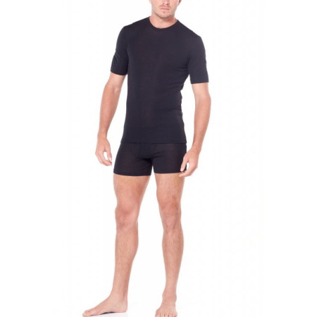 Muška majica Icebreaker Mens 175 Everyday SS Crewe