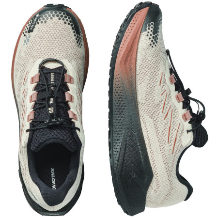 Muške cipele Salomon Aero Blaze 4 Grvl Gtx