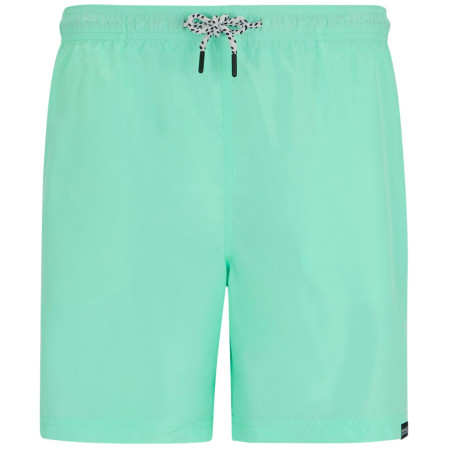 Muške kratke hlače Regatta Mackleyna Swim Short
