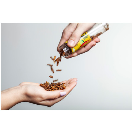 Cvrčci za jelo Sens Páliví křupaví & pražení cvrčci - Wasabi