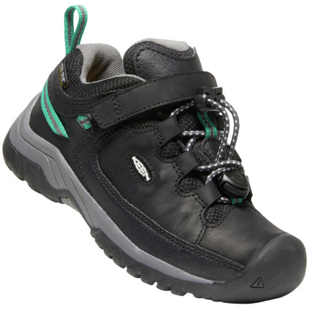 Dječja obuća Keen Targhee Low Wp Children
