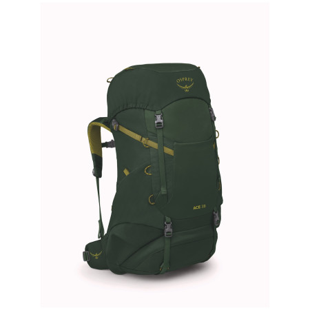 Dječji ruksak Osprey Ace 38 zelena green canopy/matcha green