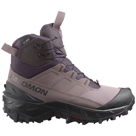 Ženske zimske cipele Salomon Crosstrak Powder Wp W smeđa Nine Iron / Shark / Phantom