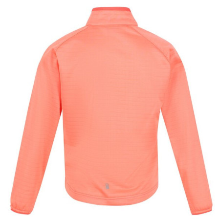 Dječja dukserica Regatta Jnr Highton LteII