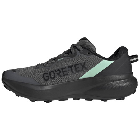 Ženske tenisice za trčanje Adidas Terrex Tracefinder Plus Gtx