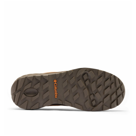 Muške cipele Columbia Newton Alpine™ Low