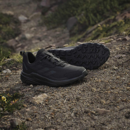 Ženske cipele Adidas Terrex Anylander W