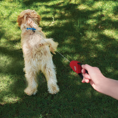 Povodac za psa Nite Ize RadDog™ Retractable Pocket Leash