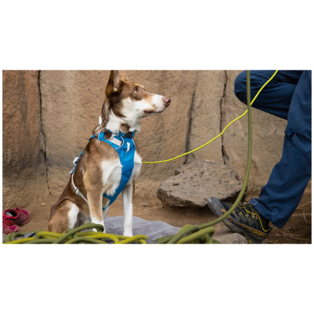 Ogrlica za psa Ruffwear Flagline™ Harness