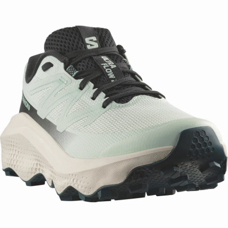Ženske cipele Salomon Ultra Flow 2 W